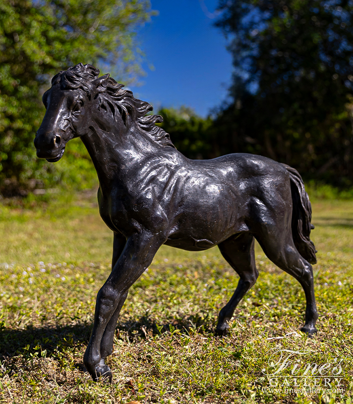 Bronze Statues  - Wild Horse Bronze Statue - BS-887